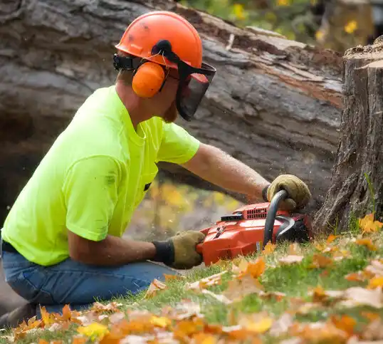 tree services Fairport Harbor